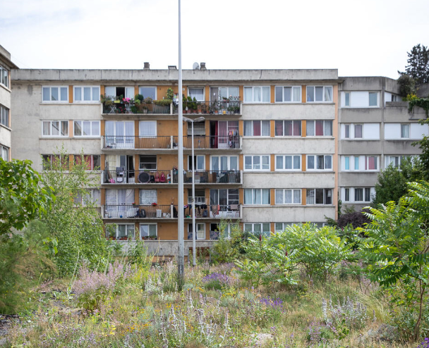 Façade d’habitat collectif donnant sur un espace végétalisé